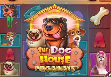 Playtech - игровой автомат онлайн от Various с RTP 95.89%